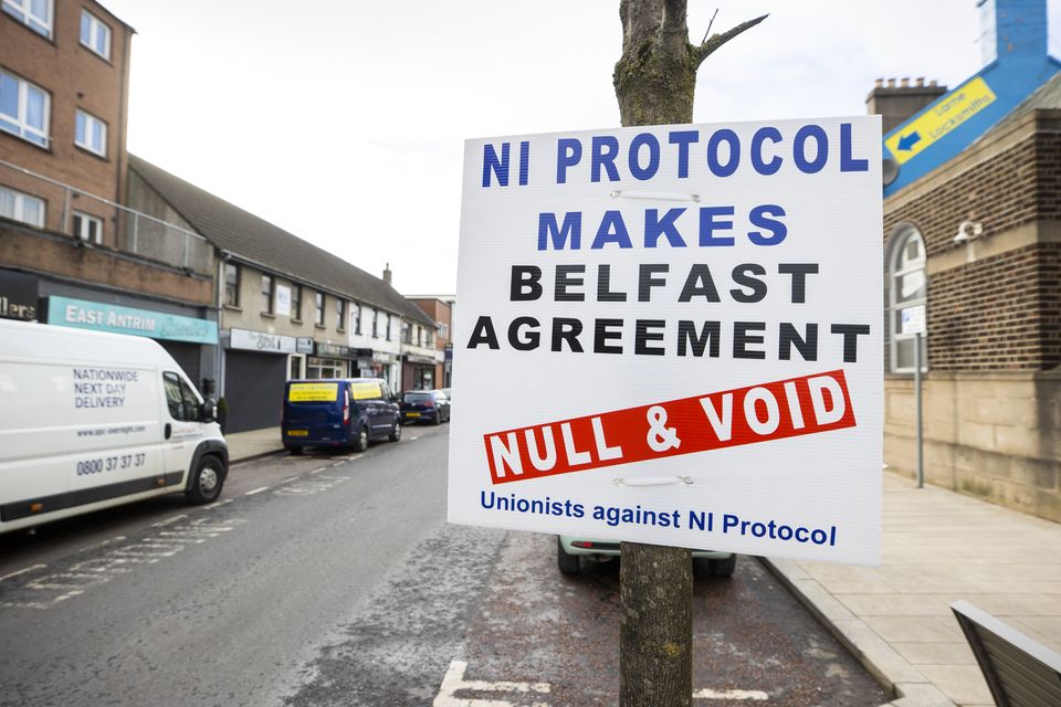 A sign against the NI Protocol on Main Street in Larne (Liam McBurney/PA)