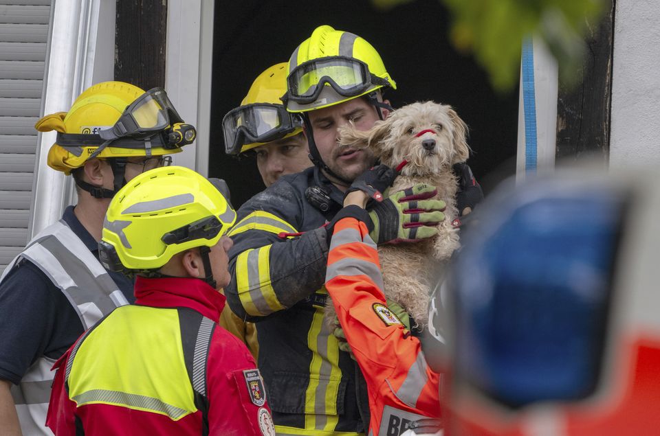 A dog was also rescued from the partially collapsed hotel (Harald Tittel/dpa via AP)