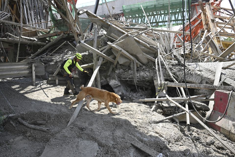 A Thai rescue worker patrols with a search and rescue dog (Panumas Sanguanwong/AP)