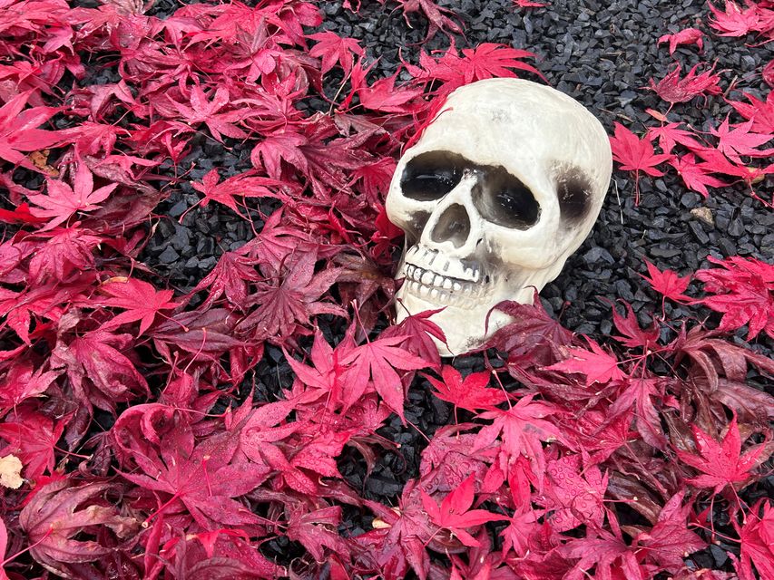 In Larbert, near Falkirk, the dead are ready to welcome trick-or-treaters (Andrew Milligan/PA)