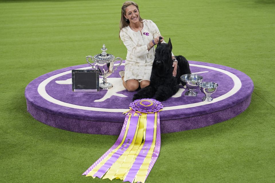 Katie Bernardin and Monty celebrated after the dog’s win – which will be his last, as the five-year-old retires (AP)