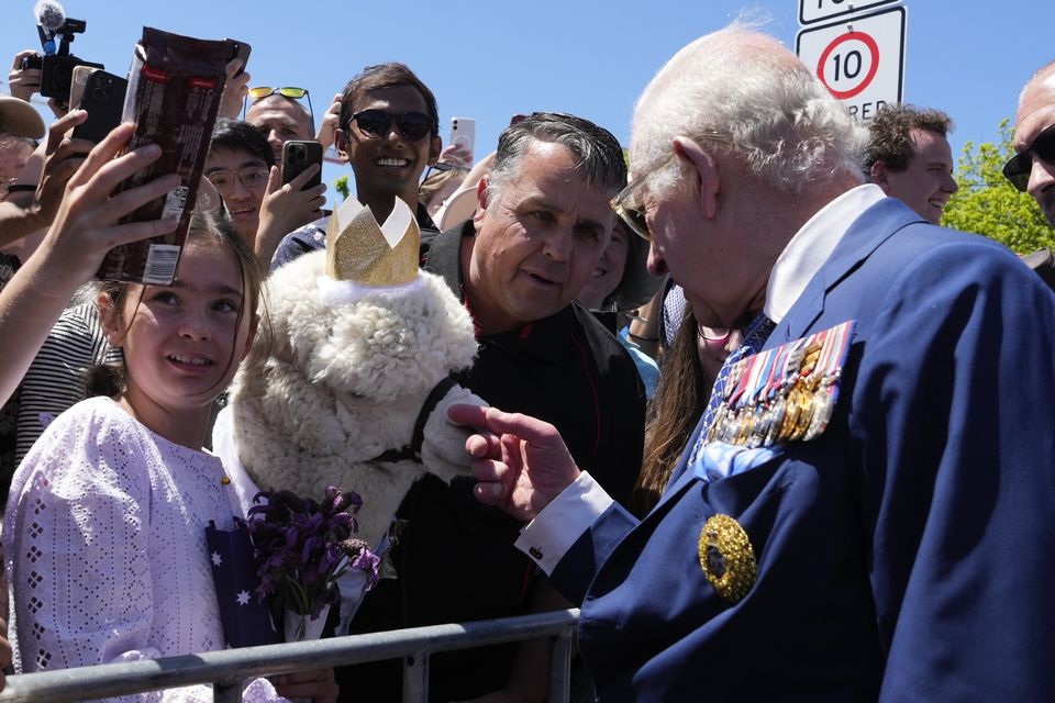 Charles is introduced to an alpaca in Canberra (Mark Baker/AP)