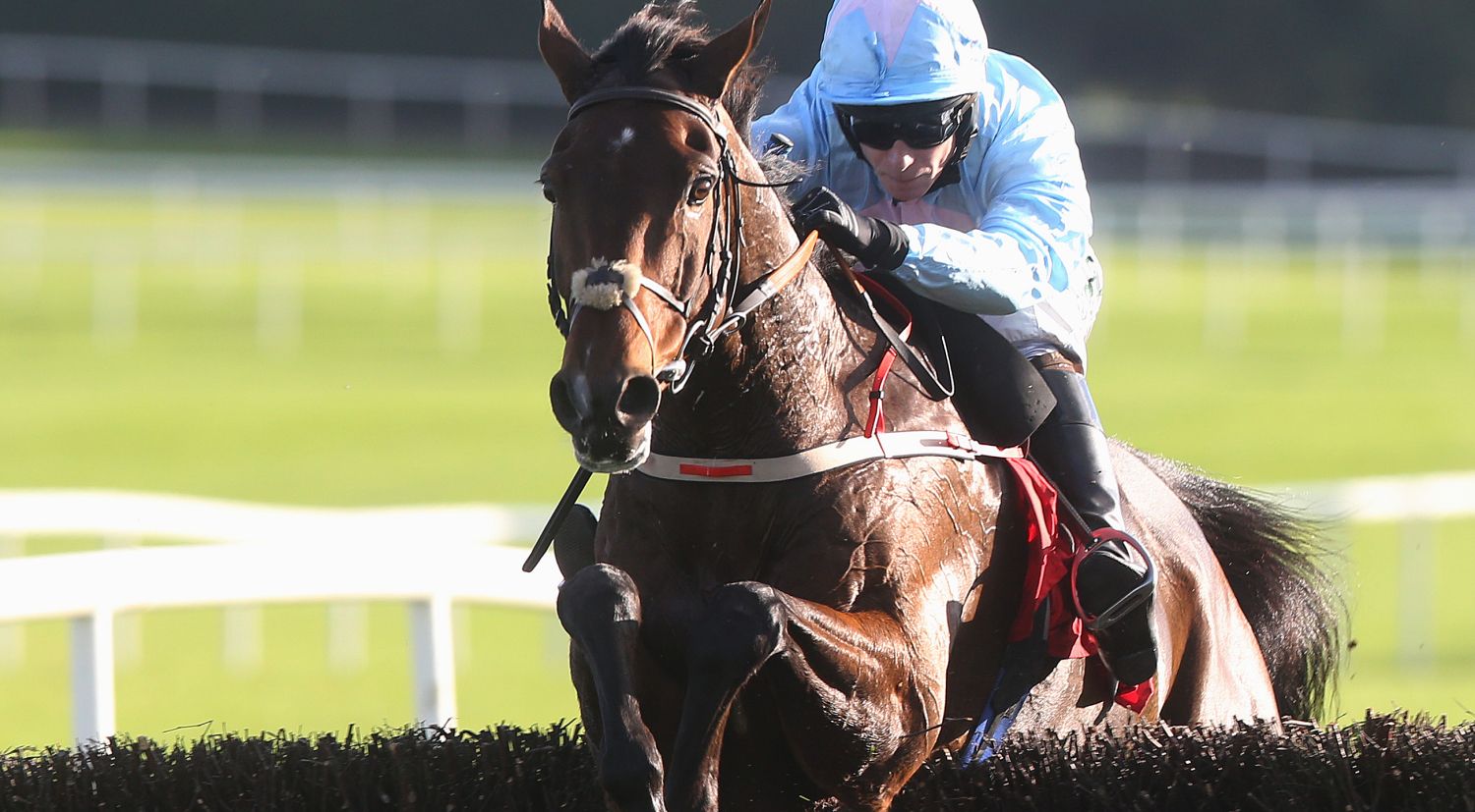 Sadler's Risk stars in Punchestown triumph | BelfastTelegraph.co.uk