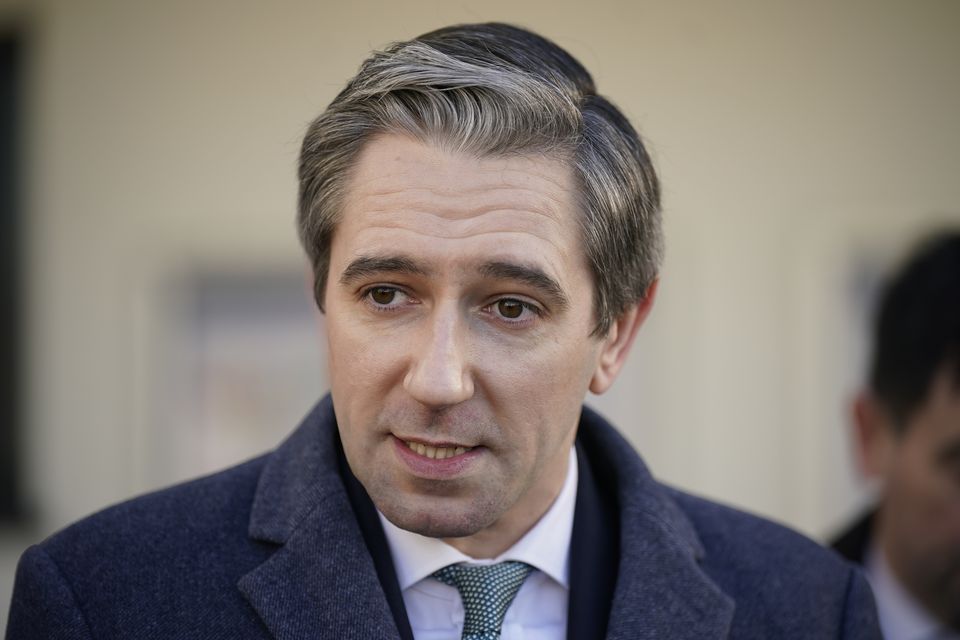 Irish deputy premier Simon Harris said he understood that the longer the situation continued the more hardship people were enduring (Niall Carson/PA)