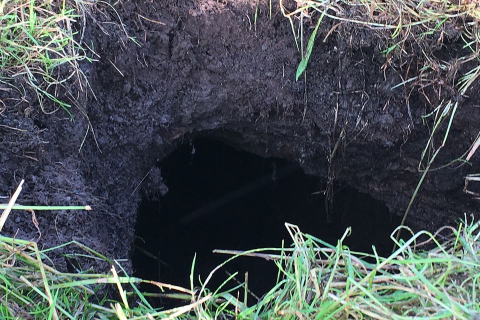 One of the sinkholes that have appeared on land at Liberty Road, near Woodburn
