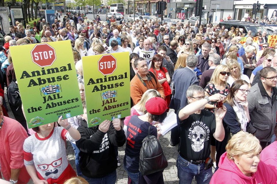 No more slaps on the wrist for animal cruelty, rally demands |  