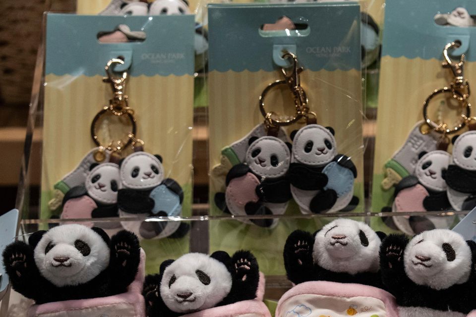 Panda-themed merchandise is being sold at the park as people flock to see the cubs (Chan Long Hei/AP)