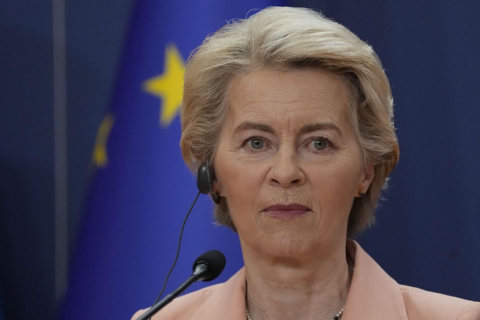 European Commission president Ursula von der Leyen (Darko Vojinovic/AP)