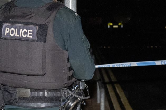 Two children left ‘extremely frightened’ after Co Down burglary