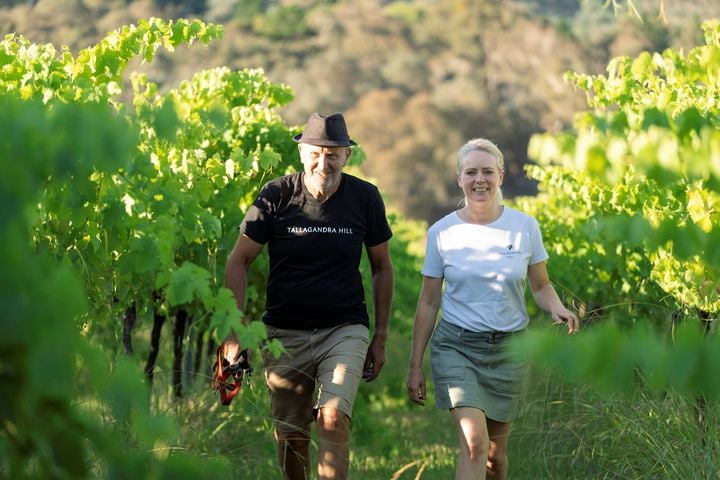 NI woman’s Australian vineyard adventure: ‘It was kind of crazy, we had no experience of making wine at all’