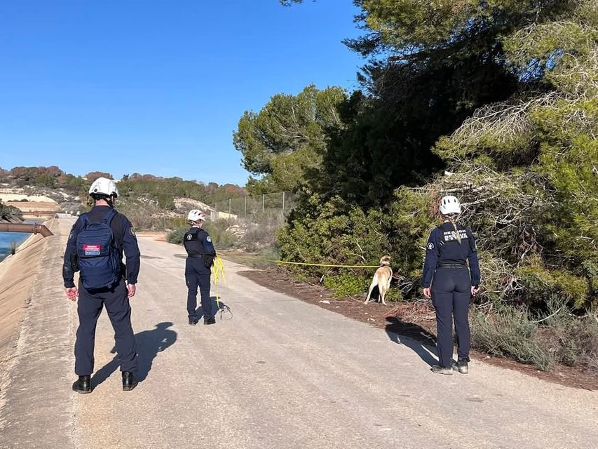 Members of the search team at work in Alicante (K9 Search and Rescue/PA)