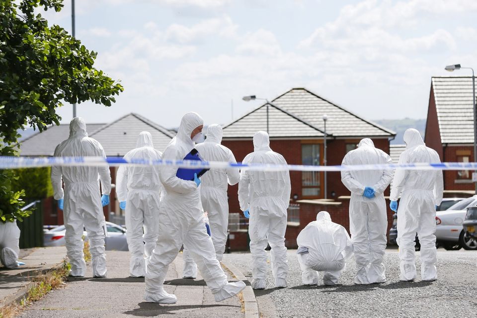 Forensic officers examine the scene in the Sunningdale Gardens area, off the Ballysillan Road on Monday 8th August 2016 following the fatal shooting of John Borland ( Photo by Kevin Scott / Presseye )