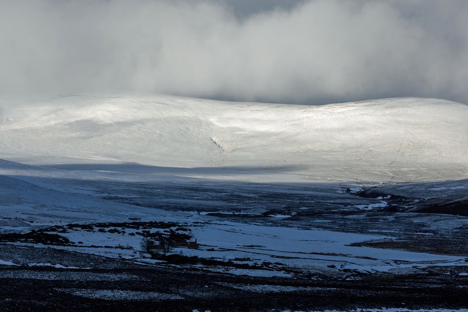 The Cairngorms is home to 85% of the UK’s population of capercaillie (Paul Campbell/PA Wire).