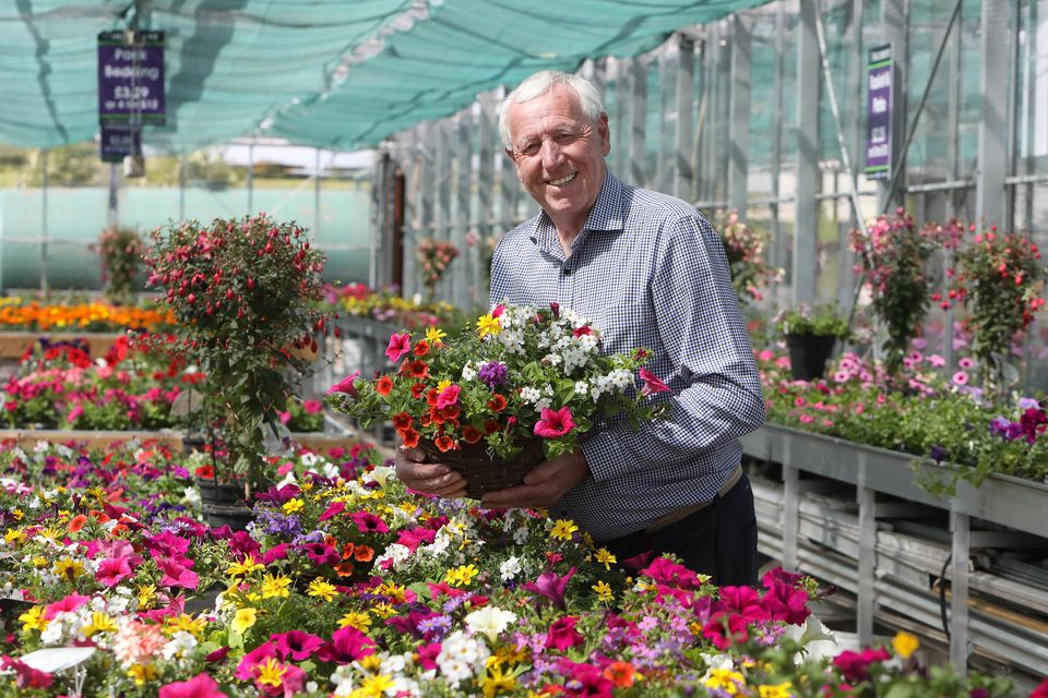 Robin Mercer BEM, owner of Hillmount Garden Centre