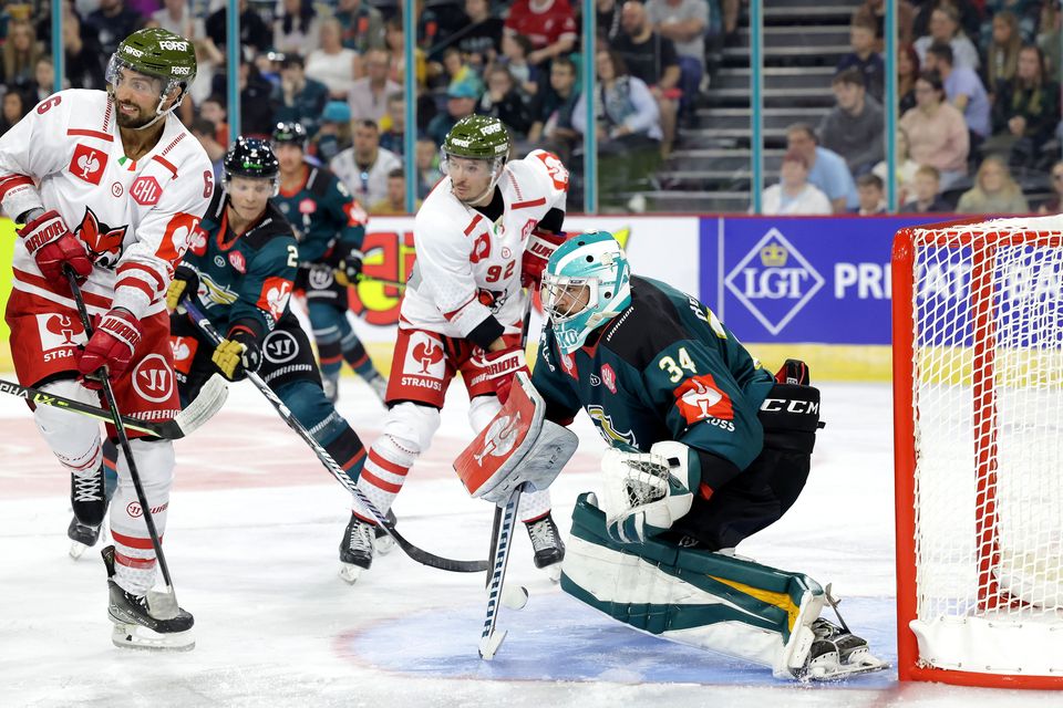 Belfast Giants on X: The Giants are in red