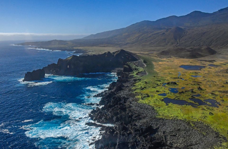 Marion Island is home to 29 different bird species (Tom Peschak/PA)