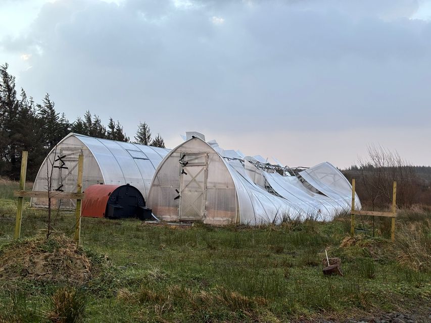 Johanna said the storm damaged their roof and destroyed one of their polytunnels (Johanna Krijnsen/PA)