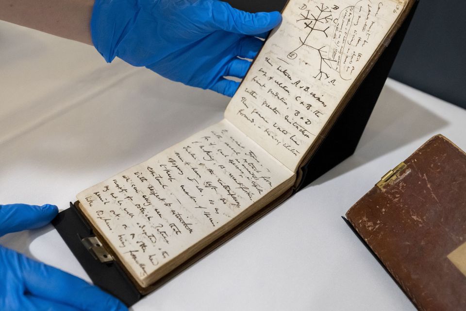 Charles Darwin Notebooks That Went Missing For 20 Years Are To Go On ...