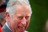 thumbnail: Prince Charles, Prince of Wales laughs as he visits Mount Stewart on May 22, 2015 in Newtownards, Northern Ireland. Prince Charles, Prince of Wales and Camilla, Duchess of Cornwall visited Mount Stewart House and Gardens and Northern Ireland's oldest peace and reconciliation centre Corrymeela on the final day of their visit of Ireland.  (Photo by Jeff J Mitchell/Getty Images)