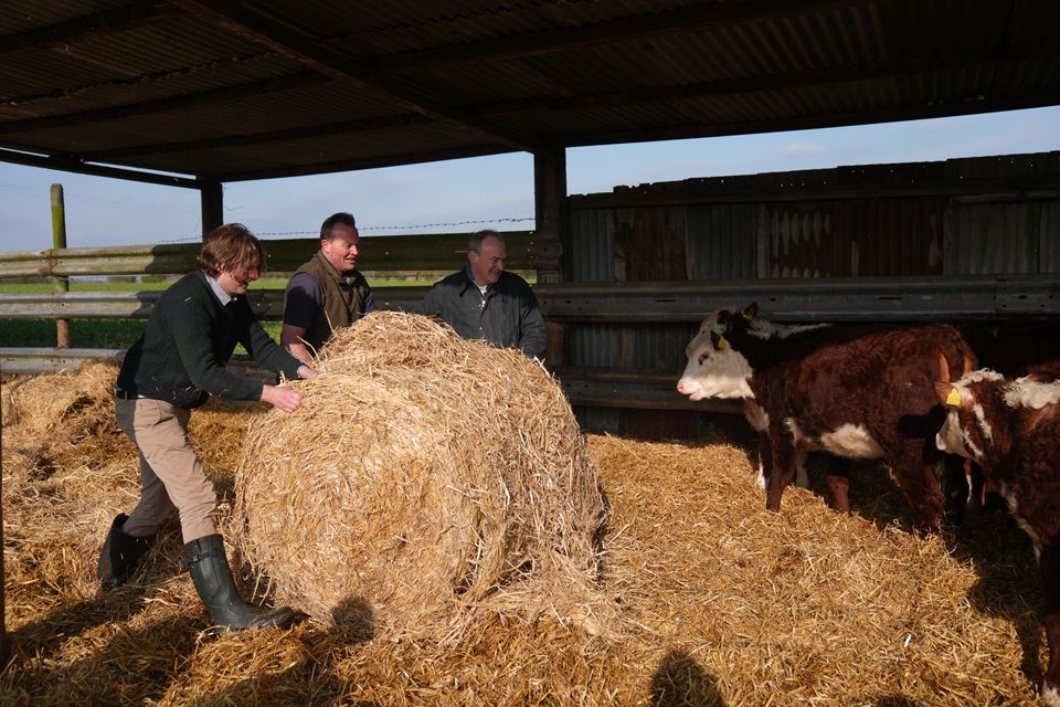 Sir Ed Davey and Lib Dem MP for North Norfolk Steff Aquarone help farmer Chris Blaxell (centre) roll a bale in a cow shed during the visit (Joe Giddens/PA)