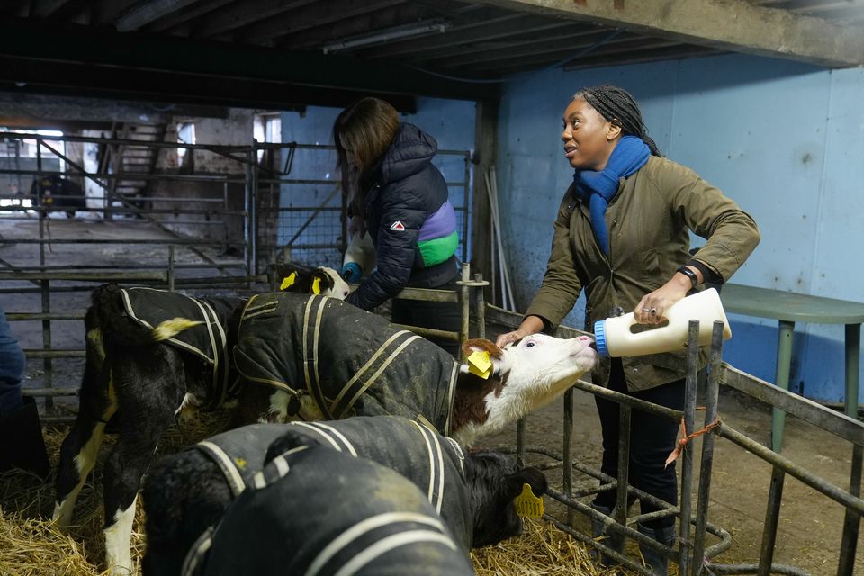 Conservative Party leader Kemi Badenoch feeds calves during a visit to Top O The Town Farm in Broomhall near Nantwich, Cheshire (Peter Byrne/PA)