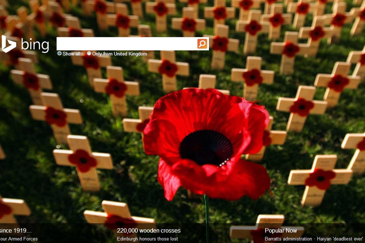 Google marks Memorial Day with poppy-themed Doodle 