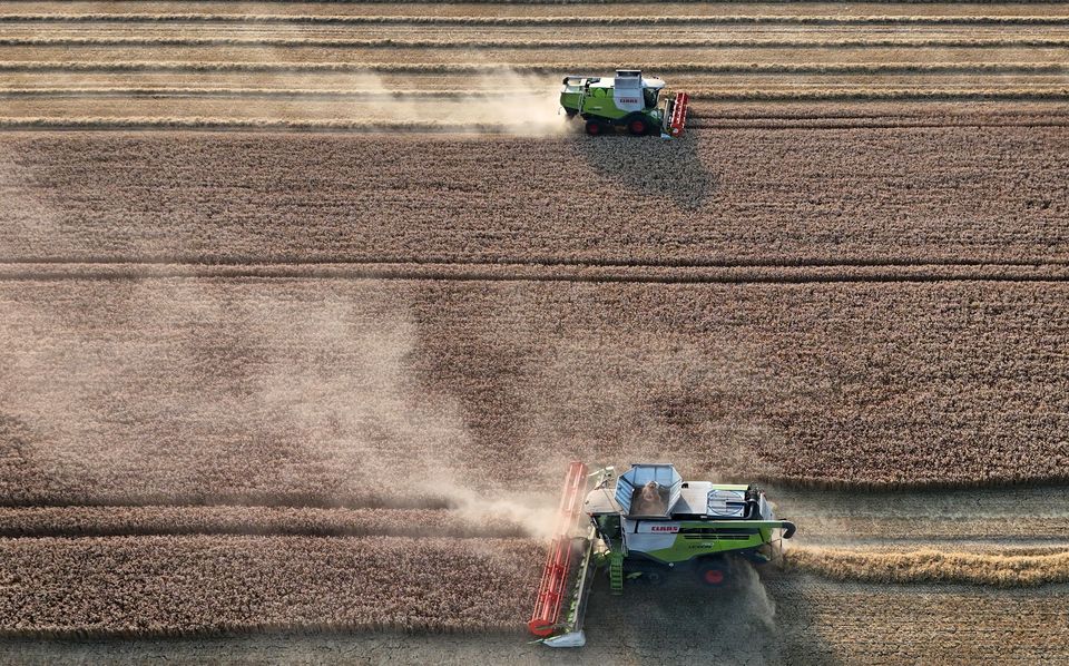 Combine harvesters gather in crops in Kent (Gareth Fuller/PA)