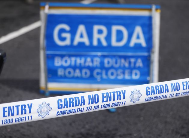 Man dies after tree falls on his car in Co Donegal during Storm Eowyn