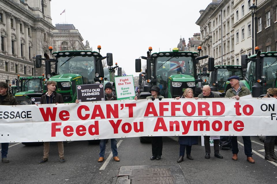 Farmers and their tractors protest in Whitehall, London (P)A