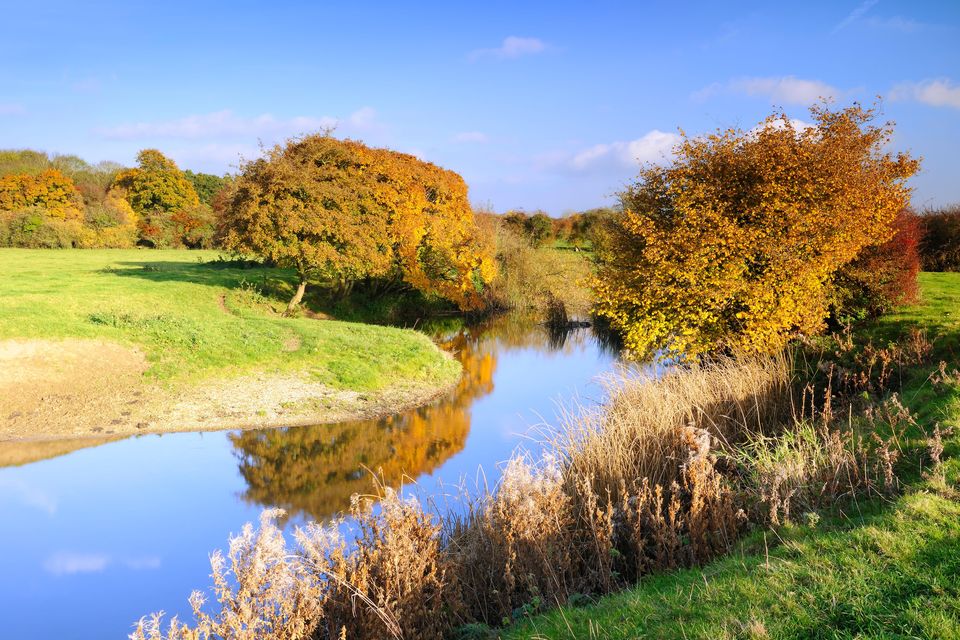 The OEP has called for a focus on agricultural pollution of rivers as well as sewage (Alamy/PA)