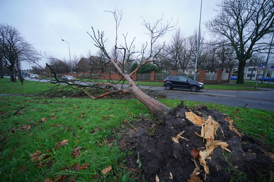 A fallen tree in Queen’s Drive in Liverpool (Peter Byrne/PA)