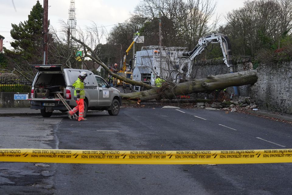 ESB workers survey a fallen tree which crashed through the wall of Phoenix Park and on to Blackhorse Avenue in Dublin (Brian Lawless/PA)