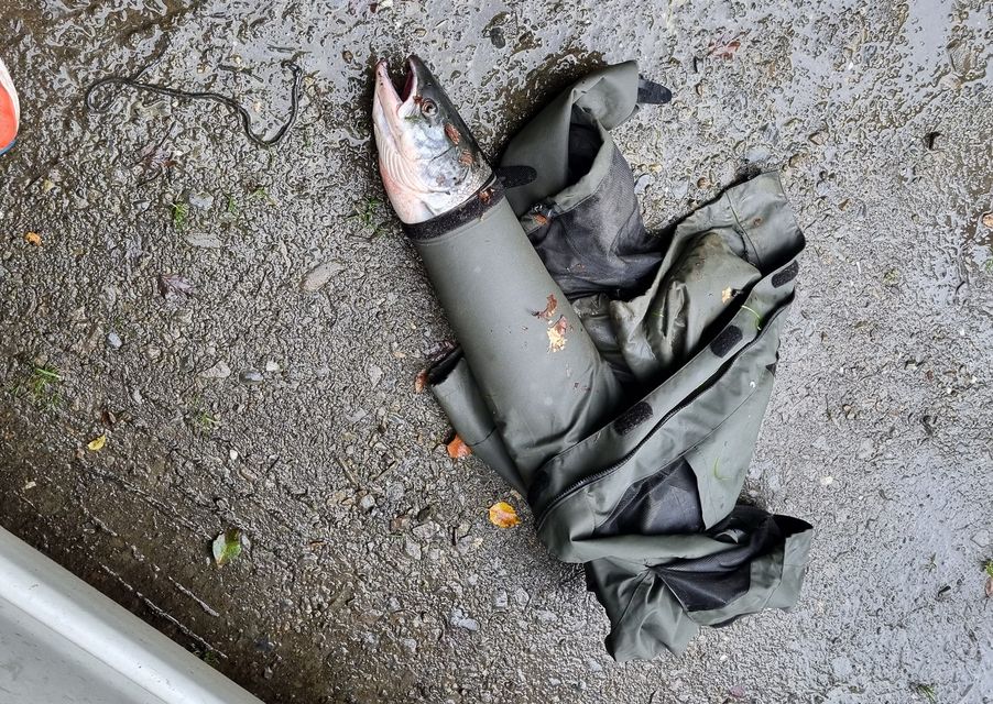 A fellow angler confront Samuels after becoming suspicious (Natural Resources Wales)