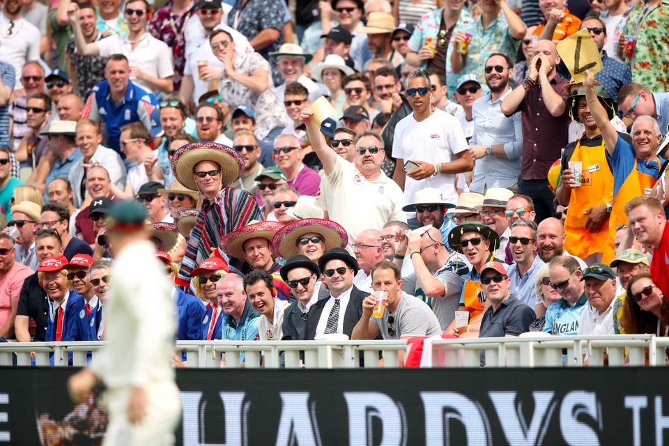 David Warner (foreground) has long been a target for England fans (Nick Potts/PA)