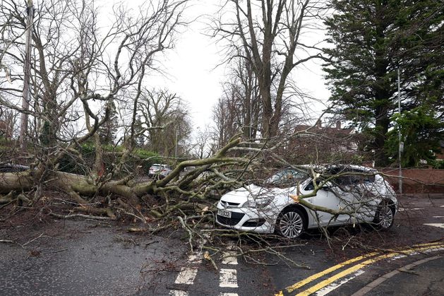 Storm Éowyn: Winds reach record-breaking speeds of 102 mph, with Translink issuing update on services