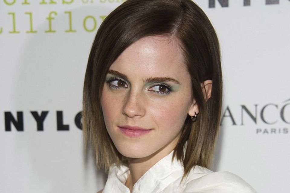 Goth Porn Emma Watson - Watson: From Hermione to 50 Shades? | BelfastTelegraph.co.uk