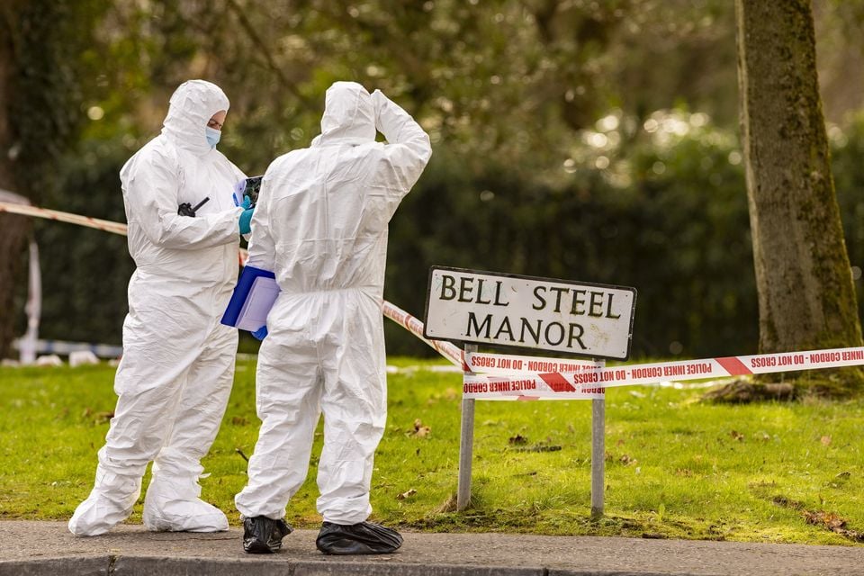 Specialist search teams sweep the Bell Steel Manor area of west Belfast on February 24th 2025 following a shooting incident (Photo by Kevin Scott)