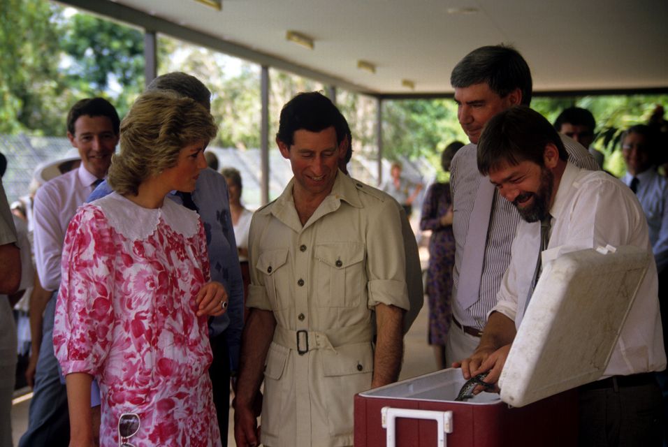 The Prince and Princess of Wales are shown a tiny baby crocodile during a visit to a crocodile farm at Noonamah, near Darwin, in 1988 (Ron Bell/PA)