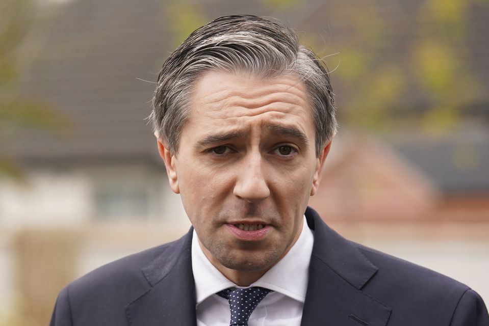 Taoiseach Simon Harris was polling at 53% support as party leader (PA)