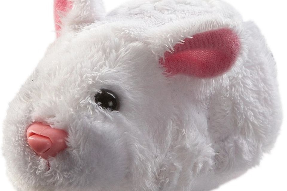 Hamster clearance time toy