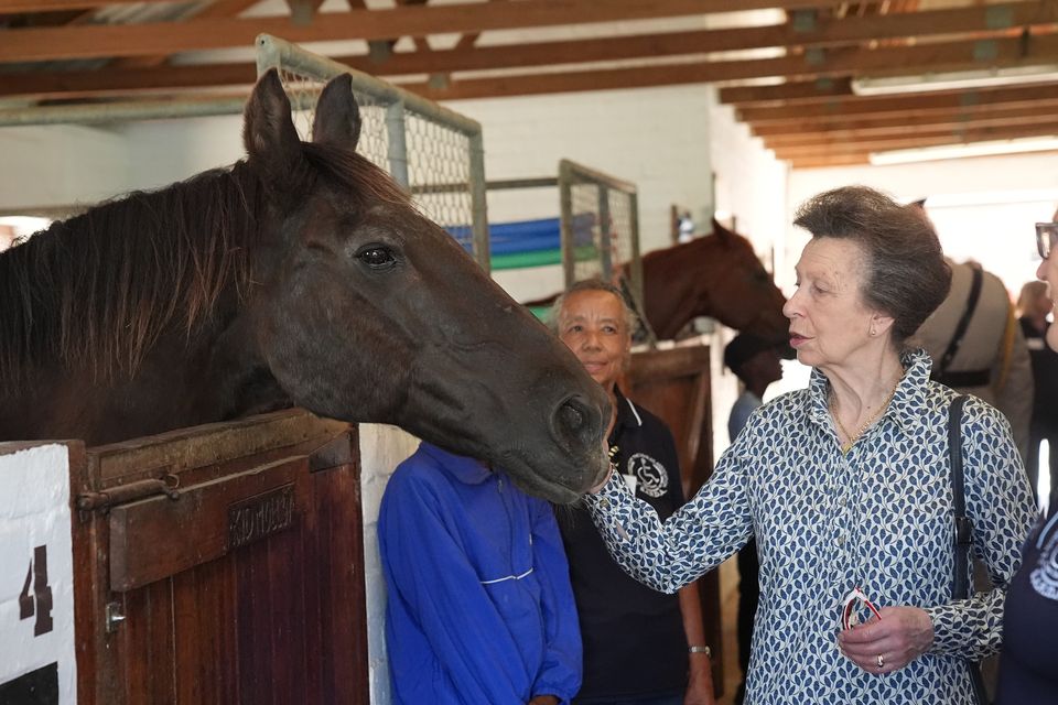 The Princess Royal strokes a horse in the stables during a visit to the South African Riding School for Disabled Association last month (Aaron Chown/PA)