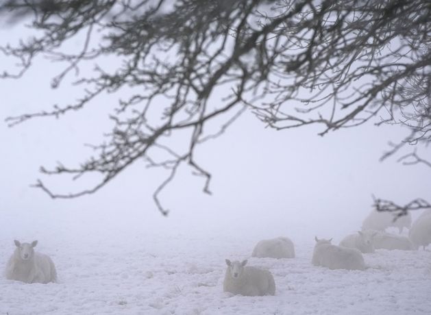 End of cold snap ‘in sight’ in Ireland