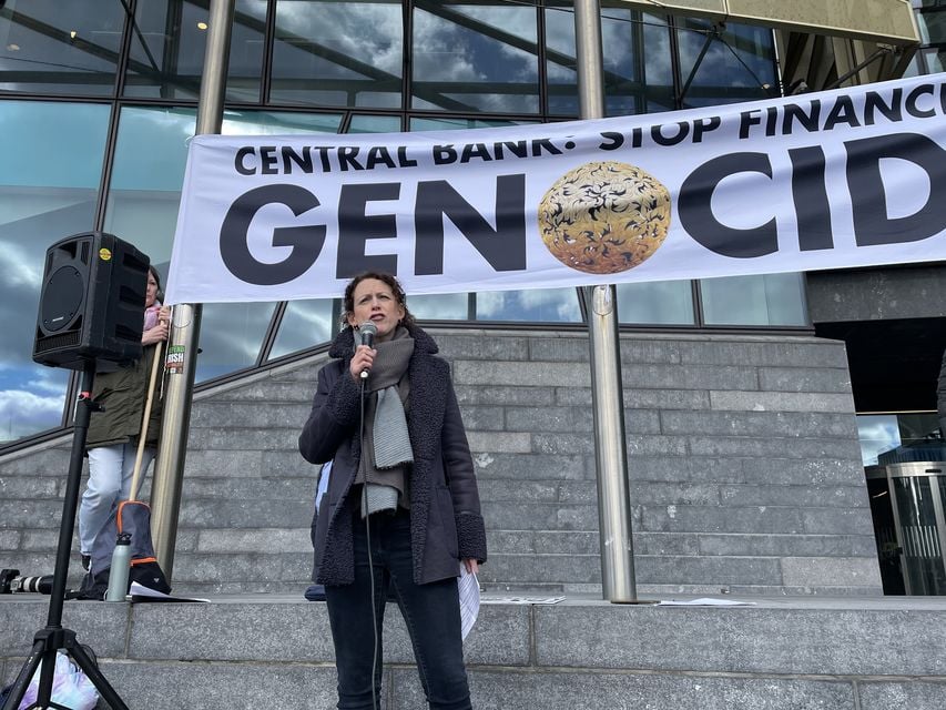 Labour TD Marie Sherlock addressed protesters (PA)