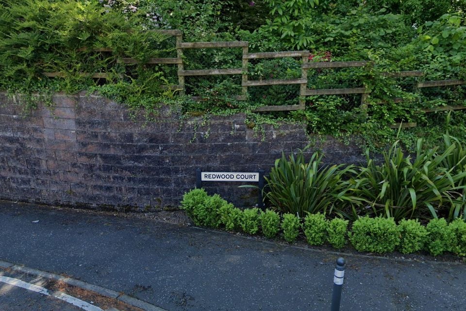 Redwood Court in Dunmurry. Credit: Google Maps