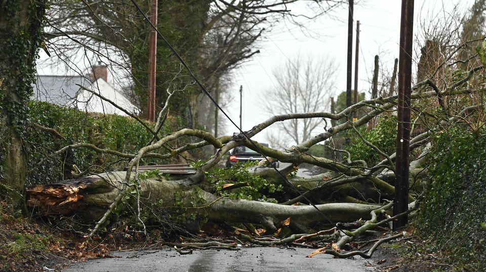 A number of roads have been closed because of fallen trees (Oliver McVeigh/PA)