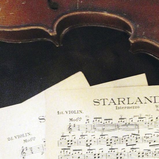 A Titanic exhibition of true note on SS Nomadic as violinist's music goes  on display