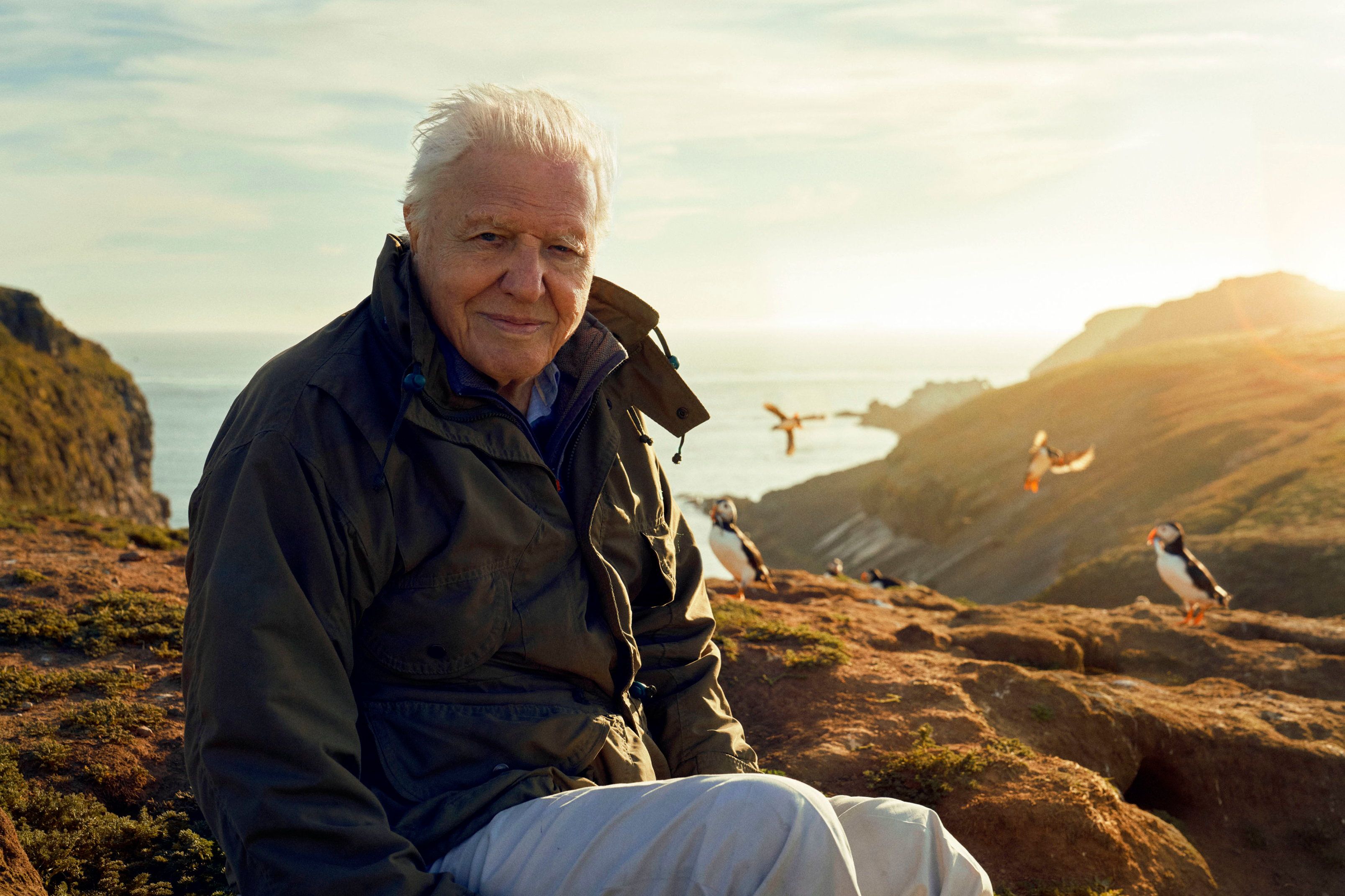 Sir David Attenborough’s new BBC series to feature Northern Ireland