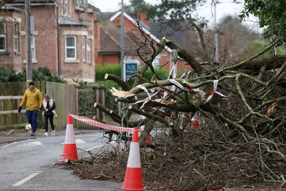 Clear up continues across Belfast to clear debris and trees which were felled due to Storm Éowyn. Debris on Circular Road in east Belfast. (Picture by Jonathan Porter / Press Eye)