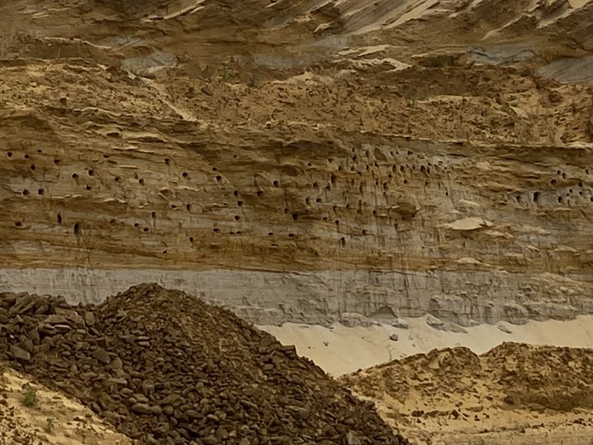 A colony of sand martins have been returning to the specially created cliff at Sandy Heath Quarry from their wintering grounds in Africa each spring (RSPB/PA)