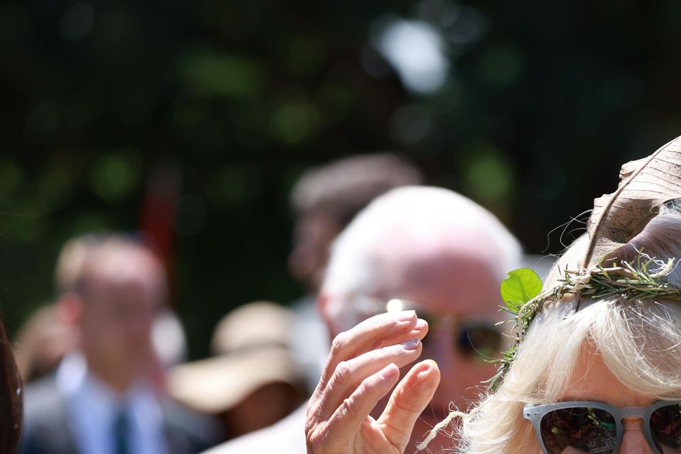 Camilla at a community barbeque hosted by the Premier of New South Wales Chris Minns at Parramatta Park in Sydney (Ian Vogler/Daily Mirror/PA)